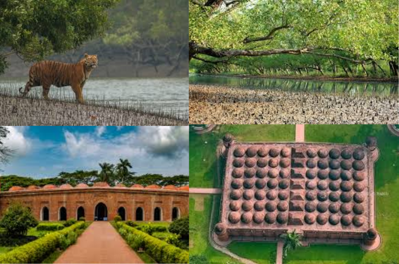 Sundarbans Tour
